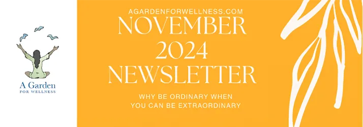 November 2024 News